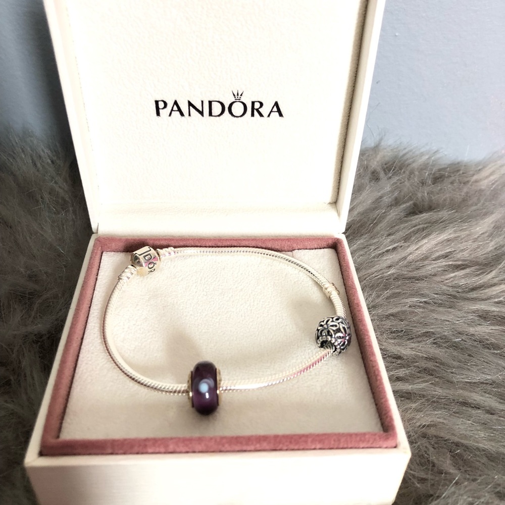 Pandora Bracelet with Two Charms